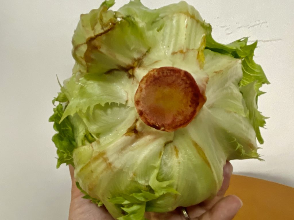 大地を守る会　レタス美味しさ